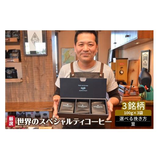 ふるさと納税 コーヒー コーヒー豆 愛知県 高浜市 厳選 世界のスペシャルティコーヒー 豆_08-135-1-1 豆