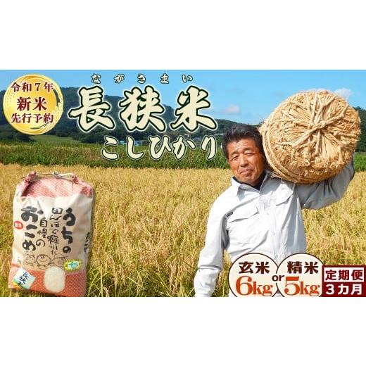 ふるさと納税 米 コシヒカリ 千葉県 鴨川市 [令和7年産 新米]田代農園の定期便『長狭米コシヒカリ(一等米)』 玄米6kg ×3カ月 0054-0003 玄米6kg×…