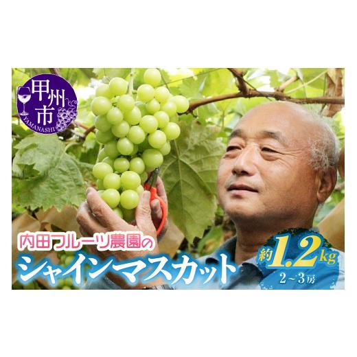 ふるさと納税 ぶどう マスカット 山梨県 甲州市 内田フルーツ農園のシャインマスカット 約1.2kg(2〜3房) 2026年発送 (UF)B-164 シャインマスカット 葡萄 …