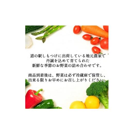 ふるさと納税 セット・詰合せ 栃木県 下野市 下野市産 季節の 野菜 詰め合わせ | 野菜 詰め合わせ セット 新鮮 栃木県 特産品 下野市 しもつけ市_1