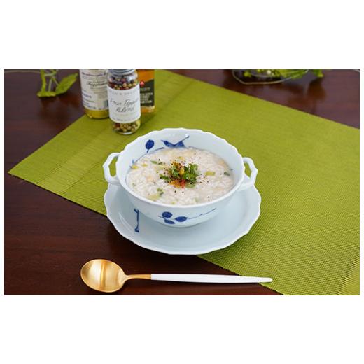 ふるさと納税 食器・グラス 皿 佐賀県 有田町 有田焼 花鳥紋 スープ碗皿 青雅堂 器 うつわ 食器 スープ皿 取り皿 セット ギフト A22-82の画像