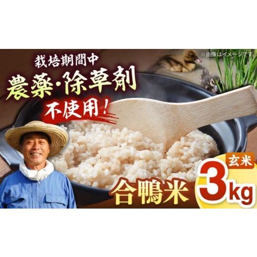 ふるさと納税 玄米 福岡県 桂川町 栽培期間中 農薬不使用 古野農場の 合鴨農法 で作った「 合鴨米 ( 玄米 )3kg」 令和7年産 福岡 おすすめ 美味しい 名産品…