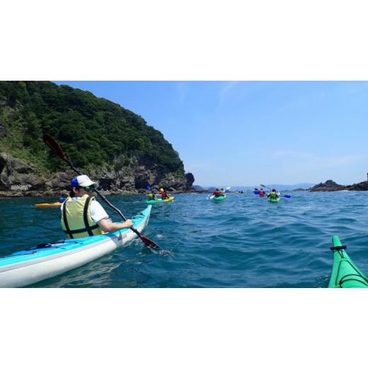ふるさと納税 スポーツ・アウトドア 高知県 須崎市  RemoRemoKayaks シーカヤック体験 〜よくばり 神島コース〜 RR002の画像
