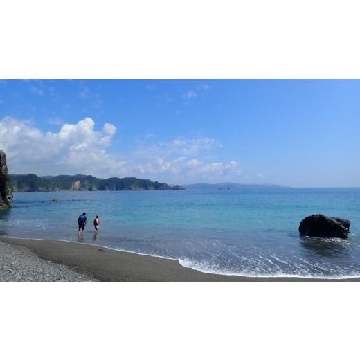 ふるさと納税 スポーツ・アウトドア 高知県 須崎市  RemoRemoKayaks シーカヤック体験 〜よくばり 神島コース〜 RR002の画像
