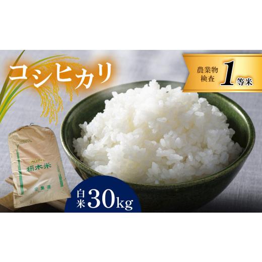 海外品 ふるさと納税 栃木県 真岡市 お米 コシヒカリ 30kg 白米 【EIM7370917169】(25960円)