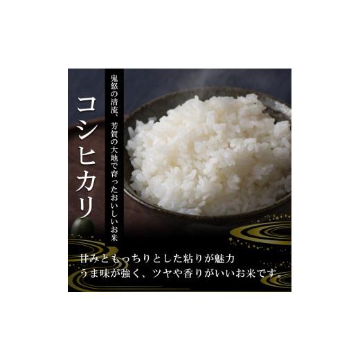海外品 ふるさと納税 栃木県 真岡市 お米 コシヒカリ 30kg 白米 【EIM7370917169】(25960円)