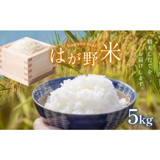 ふるさと納税 米 コシヒカリ 栃木県 真岡市 令和7年新米 最高評価「特A」を何度も獲得 はが野米こしひかり 5kg | おすすめ 精米 つきたて 白米 ごはん ご飯 コ…