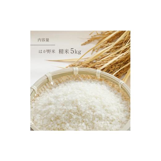 ふるさと納税 米 コシヒカリ 栃木県 真岡市 令和7年 最高評価「特A」を