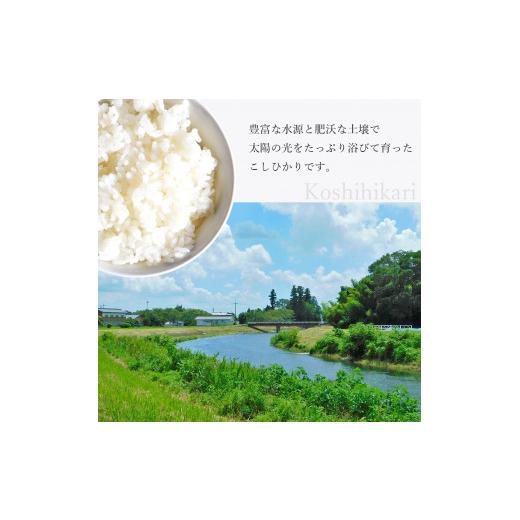 ふるさと納税 米 コシヒカリ 栃木県 真岡市 令和7年 最高評価「特A」を