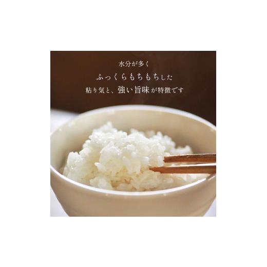 ふるさと納税 米 コシヒカリ 栃木県 真岡市 令和7年 最高評価「特A」を