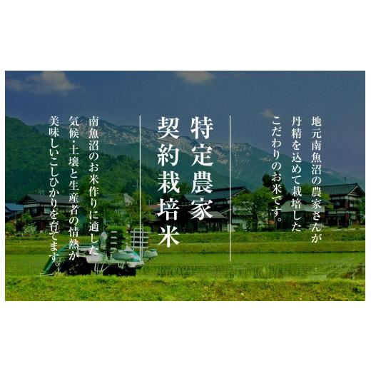 ふるさと納税 無洗米 新潟県 南魚沼市 令和7年産　頒布会 南魚沼産こしひかり無洗米2kg×全6回_7