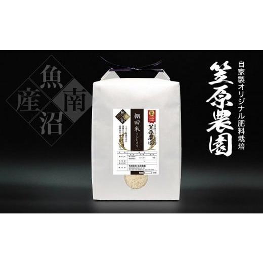 ふるさと納税 米 コシヒカリ 新潟県 南魚沼市 令和7年産新米 南魚沼産 笠原農園 棚田米コシヒカリ 5kg