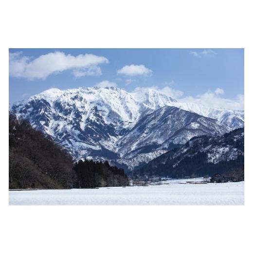 ふるさと納税 新潟県 南魚沼市 八海山本格米焼酎「よろしく千萬あるべし」720ml×6本 よろしく千萬あるべし