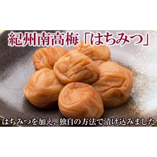 ふるさと納税 加工品等 梅干 和歌山県 御坊市 紀州南高梅「はちみつ」(塩分10%) ご自宅用