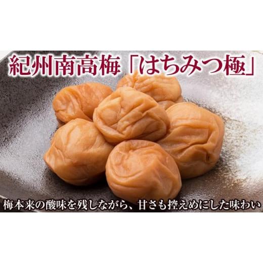 ふるさと納税 加工品等 梅干 和歌山県 御坊市 紀州南高梅はちみつ極塩分6% ご自宅用