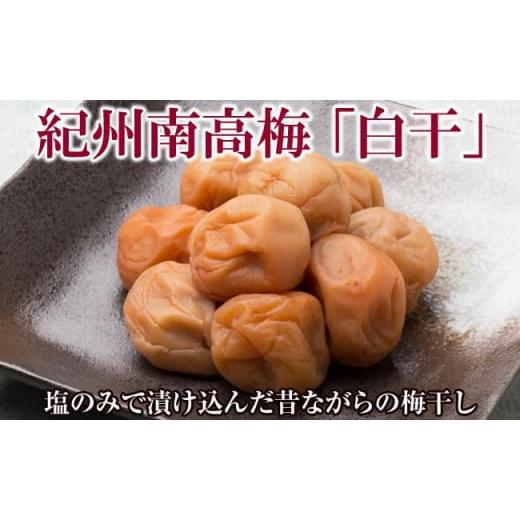 ふるさと納税 加工品等 梅干 和歌山県 御坊市 紀州南高梅白干塩分18% ご自宅用