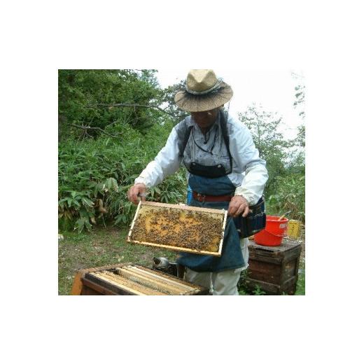 ふるさと納税 加工品等 はちみつ 和歌山県 海南市 熊野古道 峠の蜂蜜3本セット SW71の画像