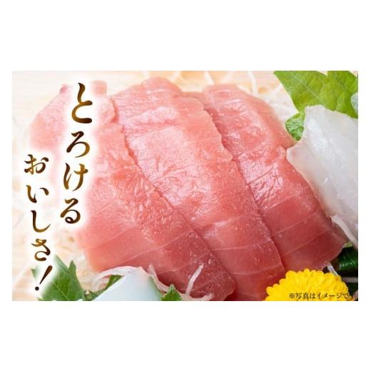ふるさと納税 マグロ 宮城県 気仙沼市 特撰 中トロマグロ（メバチマグロ）１柵 150g 川印　村田漁業 宮城県 気仙沼市 20563398 魚介 魚 海鮮 まぐろ 鮪 マグロ…_3