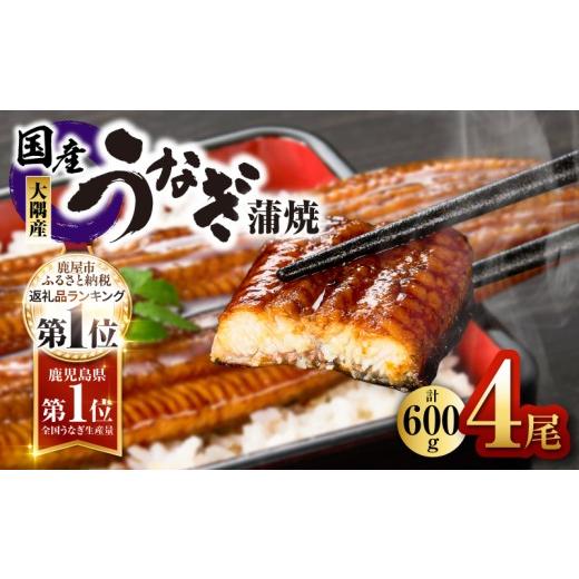 ふるさと納税 うなぎ 鹿児島県 鹿屋市 鹿児島県大隅産うなぎ蒲焼4尾
