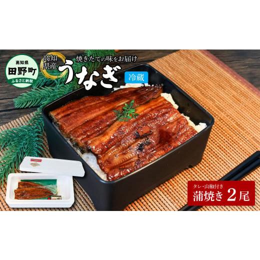 ふるさと納税 うなぎ 高知県 田野町 〜四国一小さなまち〜 ヤマシン特選うなぎの蒲焼き2尾(特製タレ付き) 130g×2尾 うなぎ 鰻 ウナギ 国産 高知県産 2尾 蒲…