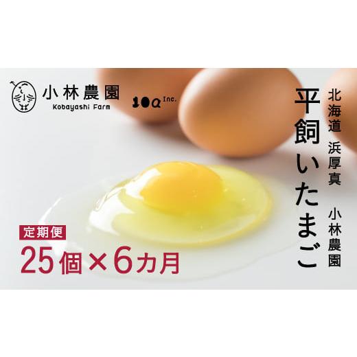 ふるさと納税 北海道 厚真町 [6回定期便] 半年間定期便!こだわりの無投薬・平飼い有精卵 毎月25個×半年間