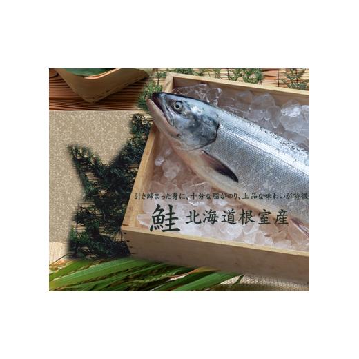 ふるさと納税 寿司 奈良県 桜井市 AD-48. 奈良のソウルフード 奥吉野 柿の葉すし 25個（さば15個・さけ10個）の画像