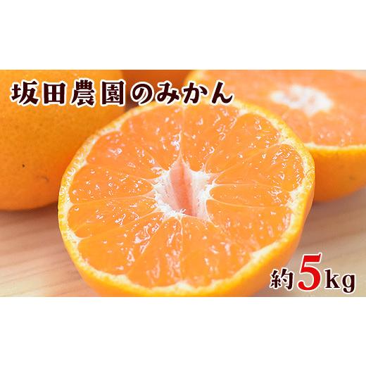ふるさと納税 果物類 みかん 熊本県 玉東町 先行予約 『坂田農園』のみかん 大容量 約5kg(2S-L サイズ) [10月上旬-1月末頃出荷] 日付指定不可 熊本県玉東町…