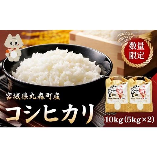 ふるさと納税 米 コシヒカリ 宮城県 丸森町 数量限定 宮城県丸森町産 コシヒカリ 10kg(5kg×2) | ふるさと納税 宮城県 丸森 米 精米 白米 10kg 5kg コシヒカ…