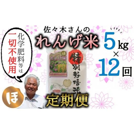 ふるさと納税 米 ヒノヒカリ 大分県 臼杵市 定期便_精米 佐々木さんの「れんげ米」(5kg)×12回 精米
