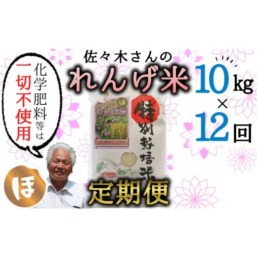 ふるさと納税 米 ヒノヒカリ 大分県 臼杵市 定期便_精米 佐々木さんの「れんげ米」(10kg)×12回 精米 10kg
