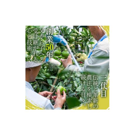 ふるさと納税 宮崎県 串間市 AF-D1 【先行予約】数量限定！串間市都井