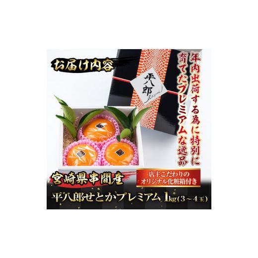楓さま専用　WGキット2×10個 ふるさと納税 宮崎県 串間市 AF-D1 【先行予約】数量限定！串間市都井