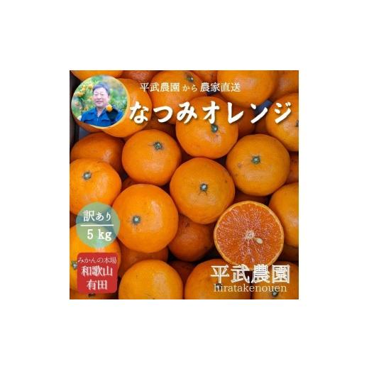 ふるさと納税 みかん・柑橘類 和歌山県 有田川町 農家直送 なつみオレンジ 5kg 訳あり サイズ混合 平武農園 〜蛍飛ぶ町から旬の便り〜