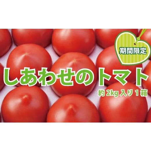 ふるさと納税 千葉県 柏市 しあわせのトマト箱詰(小)