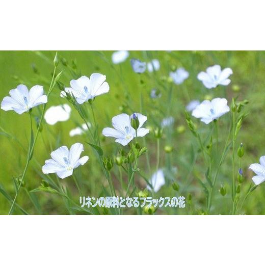 ふるさと納税 タオル・寝具 奈良県 桜井市 HE-2. 上質な肌ざわり ベッド用リネンフラットシーツ　ダブルサイズ　ホワイト ホワイト_7