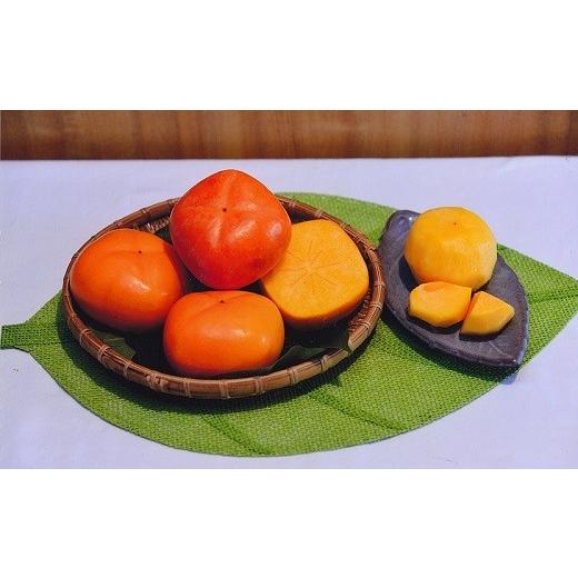 ふるさと納税 山形県 三川町 治郎左エ門の庄内柿（1箱約3kg×2箱）  FKP9626975835(9555円)