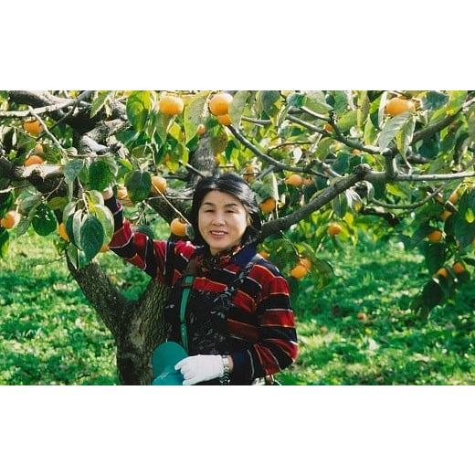 ふるさと納税 山形県 三川町 治郎左エ門の庄内柿（1箱約3kg×2箱）  FKP9626975835(9555円)