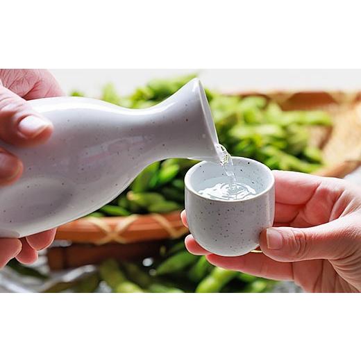 ふるさと納税 日本酒 純米酒 新潟県 長岡市 C1-B1B越後銘門酒会長岡の銘酒飲み比べ（1800ml×5本）の画像