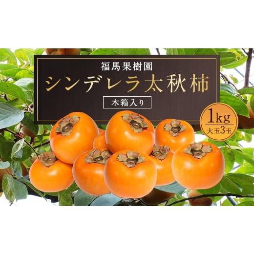 ふるさと納税 果物類 柿 熊本県 益城町 シンデレラ 太秋柿 木箱入り 大玉 3玉 約1kg 2025年11月上旬〜12月下旬発送予定