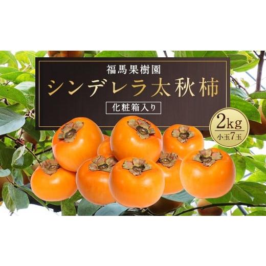 ふるさと納税 果物類 柿 熊本県 益城町 シンデレラ 太秋柿 化粧箱入り 小玉 7玉 約2kg 2025年11月上旬〜12月下旬発送予定