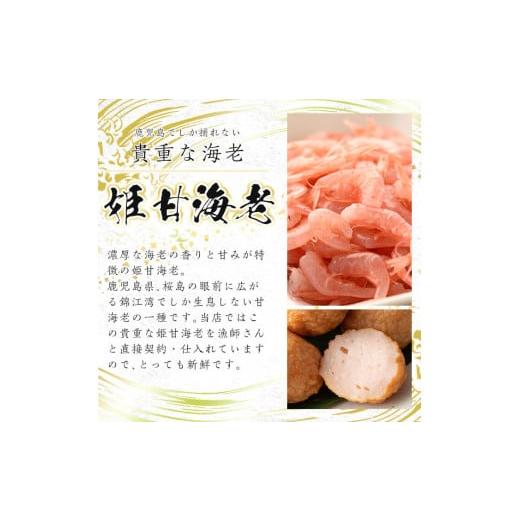 ふるさと納税 かまぼこ・練り製品 さつまあげ 鹿児島県 姶良市 a146-01 平日着分 特上さつま揚げ彩り33枚(10種類) 薩摩のまごころ 姶良市 薩摩揚げ さつまあげ…の画像