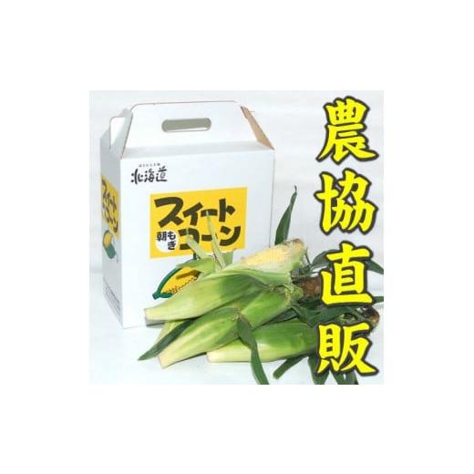 ふるさと納税 北海道 岩見沢市 【令和６年度出荷先行予約！】北海道岩見沢市産とうもろこし2Lサイズ24本【11112】｜furusatochoice｜02