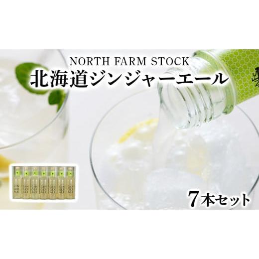 ふるさと納税 炭酸飲料 北海道 岩見沢市 「寄付額改定↓ 」北海道ジンジャーエール7本セット(HGA-07) 07104