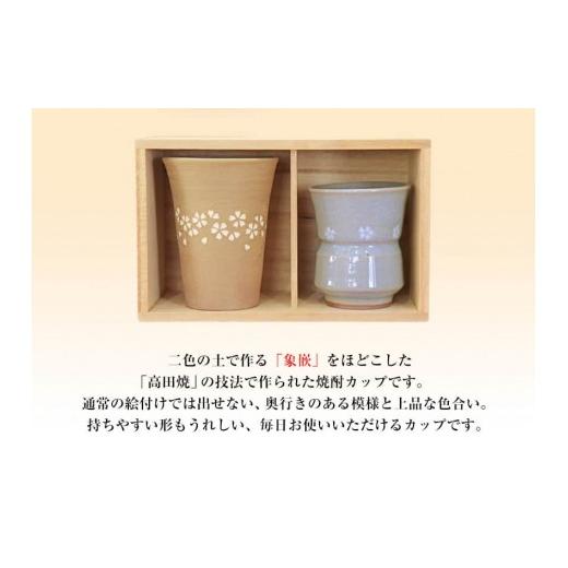 ふるさと納税 雑貨・日用品 熊本県 氷川町 「肥後高田焼 伝七窯」の酒