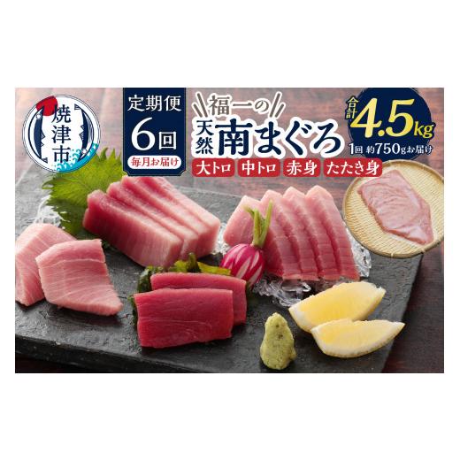 ふるさと納税 鮪 静岡県 焼津市 b150-031 生まれながら南まぐろとたたき身 6回お届け 毎月送りとどける