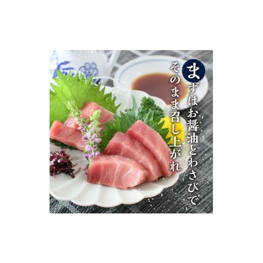 ふるさと納税 鮪 静岡県 焼津市 b150-031 生まれながら南まぐろとたたき身 6回お届け 毎月送りとどける