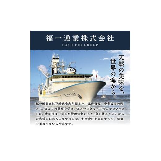 ふるさと納税 鮪 静岡県 焼津市 b150-031 生まれながら南まぐろとたたき身 6回お届け 毎月送りとどける
