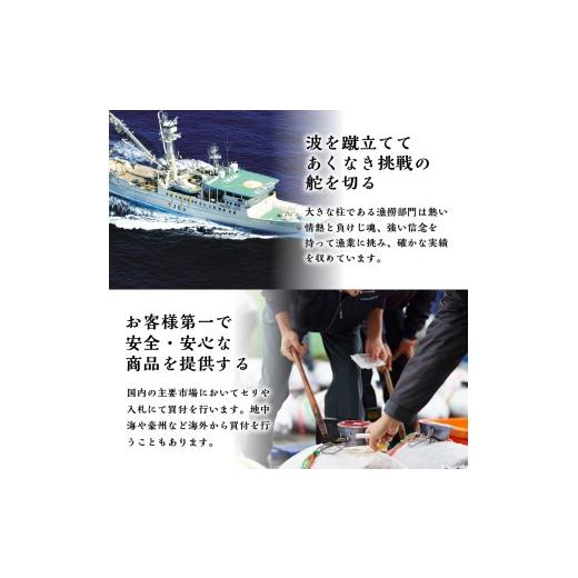 ふるさと納税 鮪 静岡県 焼津市 b150-031 生まれながら南まぐろとたたき身 6回お届け 毎月送りとどける