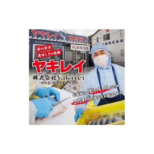 ふるさと納税 うなぎ 静岡県 焼津市 b200-024　年6回隔月お届け 国産深蒸し鰻蒲焼200g以上×4尾_6