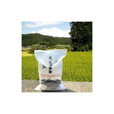 ふるさと納税 玄米 石川県 金沢市 令和7年度産 特別栽培米 石川県産こしひかり 棚田米 玄米 5kg まっきゃま米